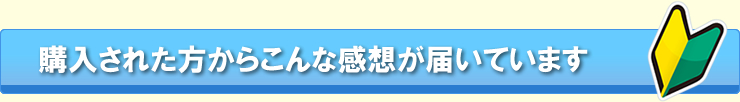 購入者された方からこんな感想が届いています